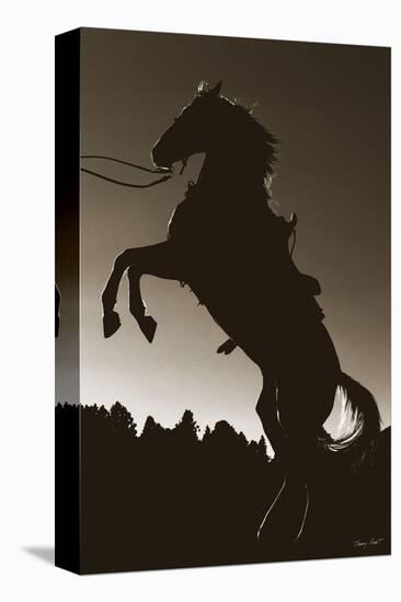 Stallion Silhouette-Barry Hart-Stretched Canvas