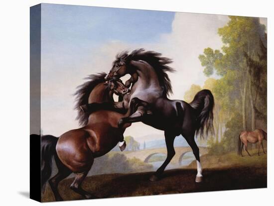 Stallions Fighting-George Stubbs-Premier Image Canvas