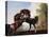 Stallions Fighting-George Stubbs-Premier Image Canvas