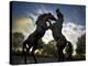 Stallions-SD Smart-Premier Image Canvas