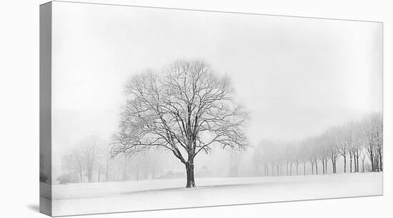 Standing Alone-Lars Van de Goor-Stretched Canvas