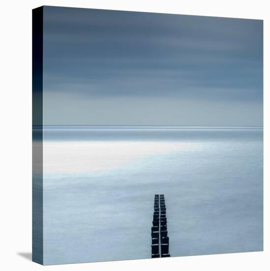 Standing Bold-Craig Roberts-Premier Image Canvas