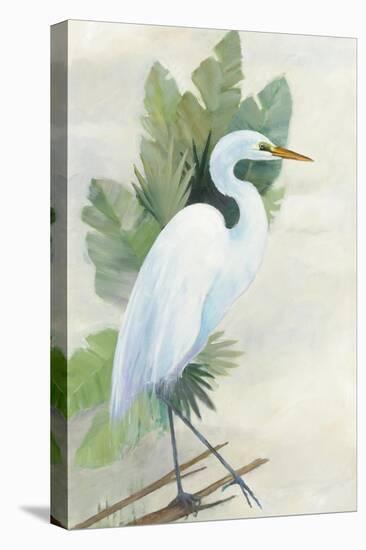 Standing Egret I Crop-Avery Tillmon-Stretched Canvas