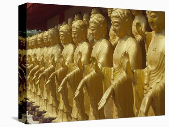 Standing Gold-Colored Buddha Statues at a Buddhist Shrine, Foukuangshan Temple, Taiwan-Steve Satushek-Premier Image Canvas