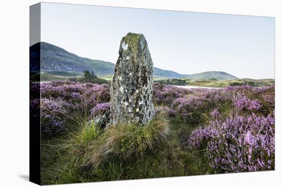 Standing Stone and Heather, Creggenan Lake, North Wales, Wales, United Kingdom, Europe-Janette Hill-Premier Image Canvas