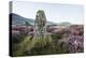 Standing Stone and Heather, Creggenan Lake, North Wales, Wales, United Kingdom, Europe-Janette Hill-Premier Image Canvas