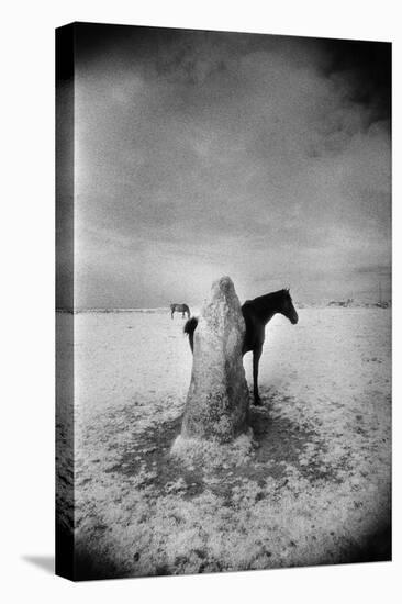 Standing Stone, Zennor, Cornwall-Simon Marsden-Premier Image Canvas