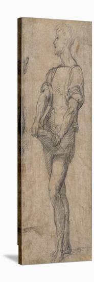 Standing Youth Holding a Book, Ca 1515-Andrea del Sarto-Premier Image Canvas