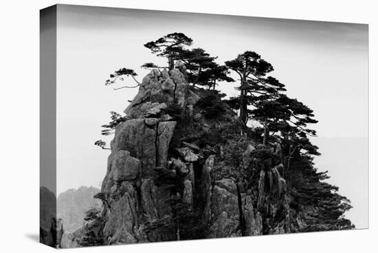 Stange Pines, Huangshan, China-null-Stretched Canvas