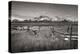 Stanley Basin Fence-Alan Majchrowicz-Premier Image Canvas