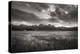 Stanley Basin Sawtooth Mountains Idaho-Alan Majchrowicz-Premier Image Canvas