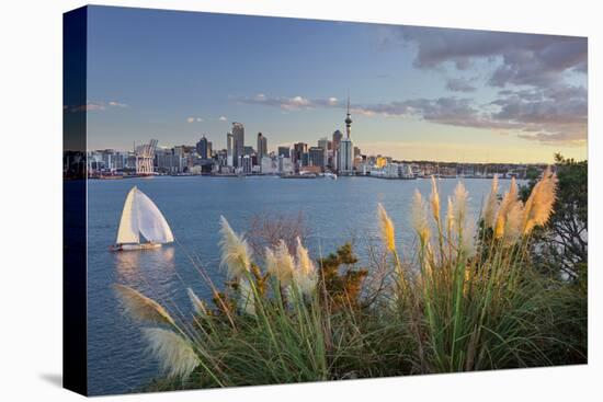 Stanley Bay, Sailboats, Skyline of Auckland, North Island, New Zealand-Rainer Mirau-Premier Image Canvas