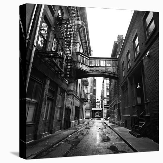 Staple Street-Evan Morris Cohen-Premier Image Canvas