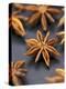 Star Anise-Winfried Heinze-Premier Image Canvas