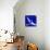 Star Bird, 2012-Nancy Moniz-Premier Image Canvas displayed on a wall