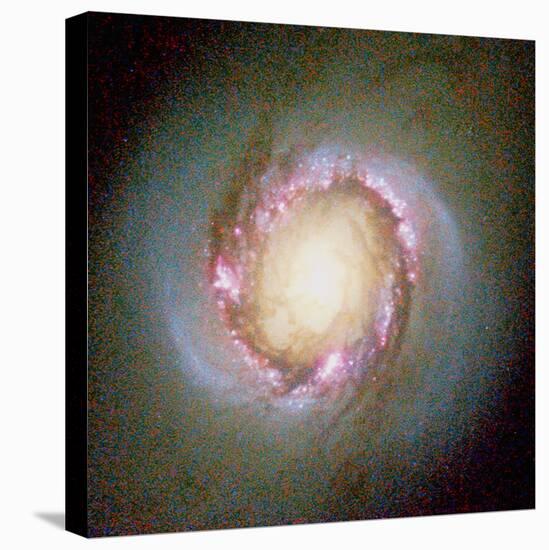 Star Birth In Galaxy NGC 4314-null-Premier Image Canvas
