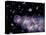 Star Birth In the Early Universe-null-Premier Image Canvas