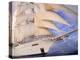 Star Clipper, 4-Masted Sailing Ship-Barry Winiker-Premier Image Canvas