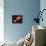 Star Distorted by Supermassive Black Hole-null-Premier Image Canvas displayed on a wall