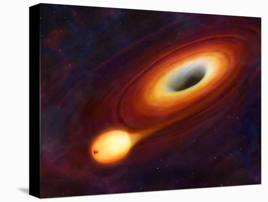 Star Distorted by Supermassive Black Hole-null-Premier Image Canvas