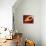 Star Distorted by Supermassive Black Hole-null-Premier Image Canvas displayed on a wall