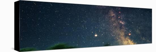 Star Fields of the Milky Way (Photo Illustration)-null-Stretched Canvas