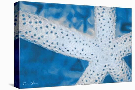 Star Fish-Denise Brown-Stretched Canvas
