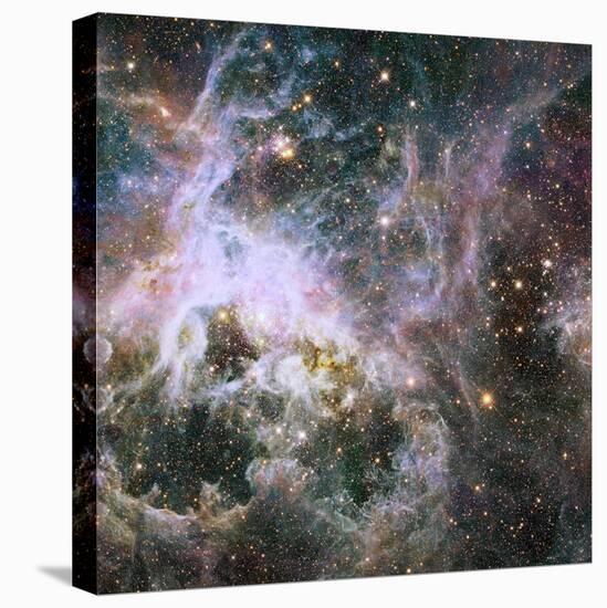 Star Formation in the Tarantula Nebula-null-Premier Image Canvas