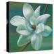 Star Magnolia-Vivien Rhyan-Stretched Canvas