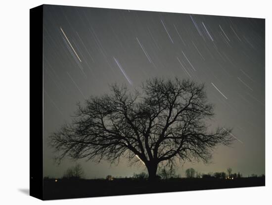 Star Trails, 20 Minutes Exposure Time, Pusztaszer, Hungary-Bence Mate-Premier Image Canvas