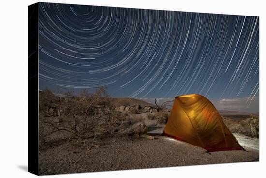 Star Trails Above a Campsite in Anza Borrego Desert State Park, California-null-Premier Image Canvas