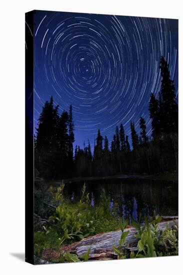 Star Trails Above Summit Lake in Lassen Volcanic National Park, California-null-Premier Image Canvas