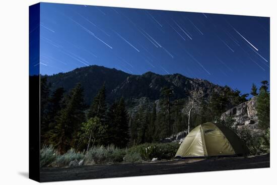 Star Trails and a Lone Tent in the Inyo National Forest, California-null-Premier Image Canvas