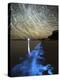 Star Trails And Bioluminescence, Gippsland Lakes, Australia-Stocktrek Images-Premier Image Canvas