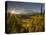 Starburst Setting Sun, Subalpine Wildflowers and Mt. Rainier at Mazama Ridge, Paradise Area-Gary Luhm-Premier Image Canvas