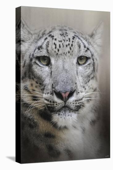 Stare of the Snow Leopard-Jai Johnson-Premier Image Canvas