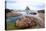 Starfish and Rock Formations Along Indian Beach, Oregon Coast-Craig Tuttle-Premier Image Canvas