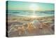 Starfish and Shells on the Beach at Sunrise-Deyan Georgiev-Premier Image Canvas