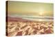 Starfish and Shells on the Beach at Sunrise-Deyan Georgiev-Premier Image Canvas