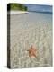 Starfish Beach, Bocas Del Drago, Isla Colon, Bocas Del Toro, Panama, Central America-null-Premier Image Canvas