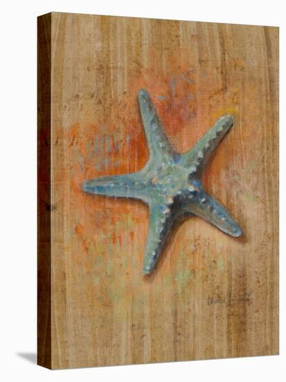 Starfish I-Lanie Loreth-Stretched Canvas