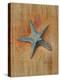 Starfish I-Lanie Loreth-Stretched Canvas