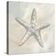 Starfish I-Yvette St. Amant-Stretched Canvas