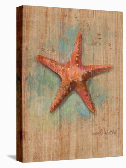 Starfish II-Lanie Loreth-Stretched Canvas