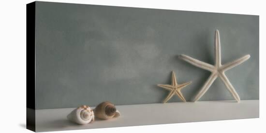 Starfish III-Bill Philip-Stretched Canvas