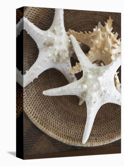 Starfish in a basket-Felix Wirth-Premier Image Canvas