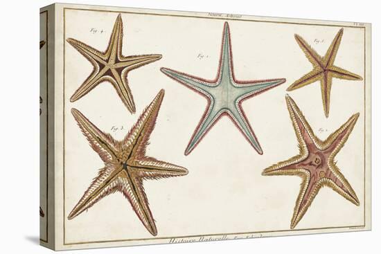 Starfish Naturelle I-Denis Diderot-Stretched Canvas