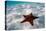 Starfish on beach-null-Premier Image Canvas