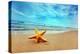 Starfish on the Beach-Michal Bednarek-Premier Image Canvas