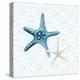 Starfish Tours Pattern-Kimberly Allen-Stretched Canvas